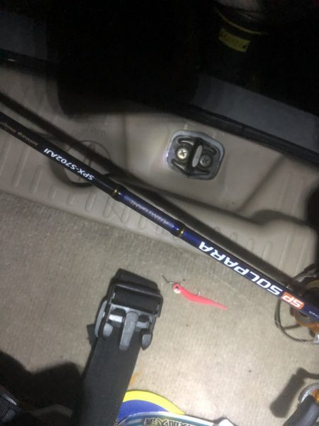 アジングで新たな外道